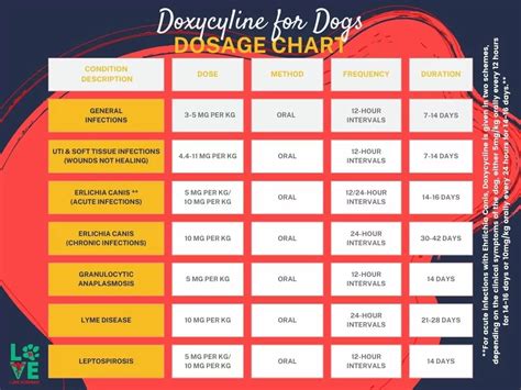 Doxycycline 100mg For Dogs Dosage Chart