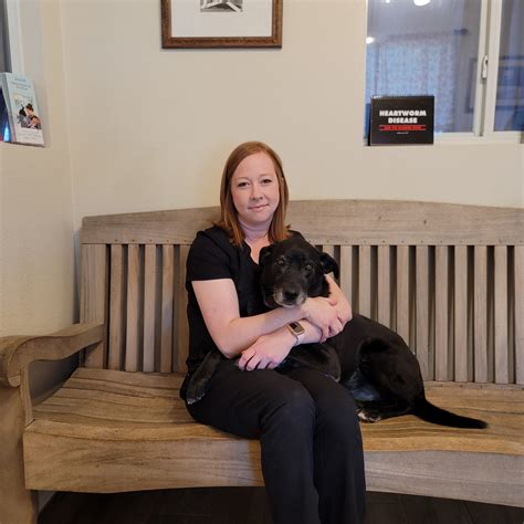 Expert Veterinary Care for Your Furry Friends: Choose Dr In Animal Hospital Today!