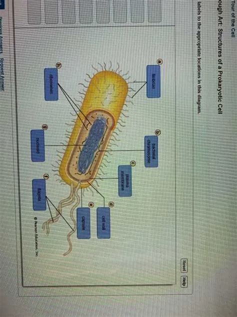 Drag the Labels: The Ultimate Guide to Precise Placement