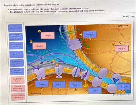 Drag the Labels The Ultimate Guide to Precise Placement