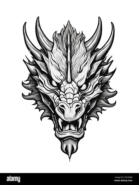 Dragon Face Illustrations