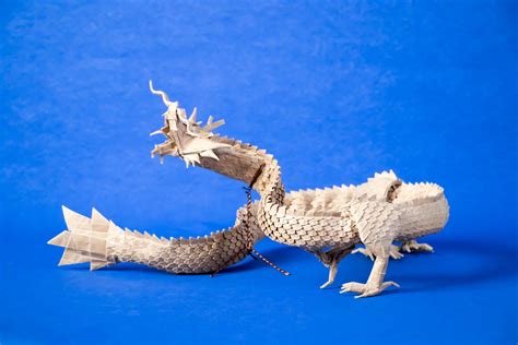 Dragon Origami Complex