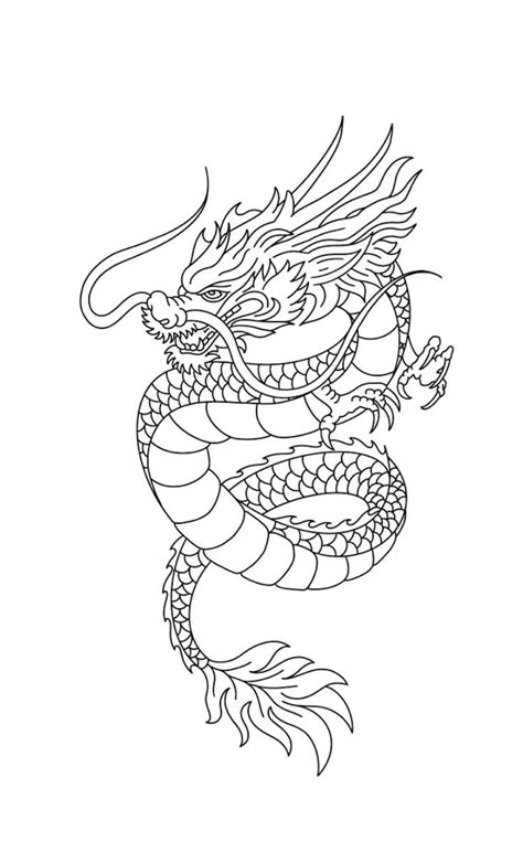 Dragon Tattoo Outline