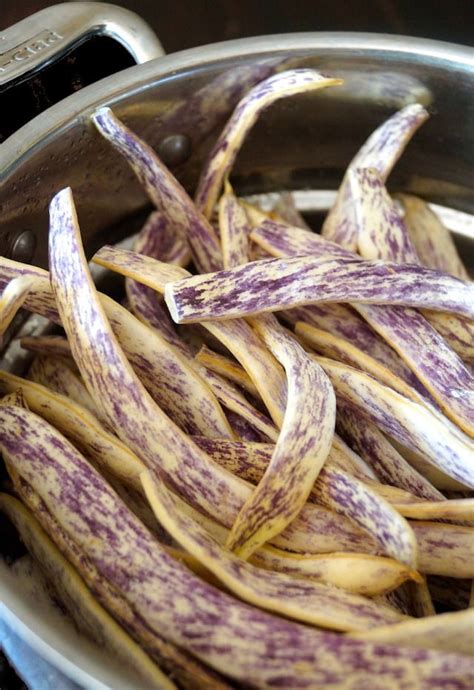 Delicious Dragon Tongue Beans Recipe: A Step-By-Step Guide