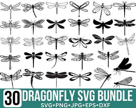 Fly High with Mesmerizing Dragonfly SVG Designs: Where Elegance Meets Fantasy!