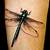 Dragonfly TATTOO Placement