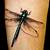 Dragonfly Tattoo For Men