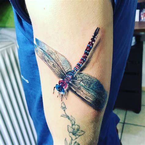 Top 100 Best Dragonfly Tattoos — Designs And Ideas
