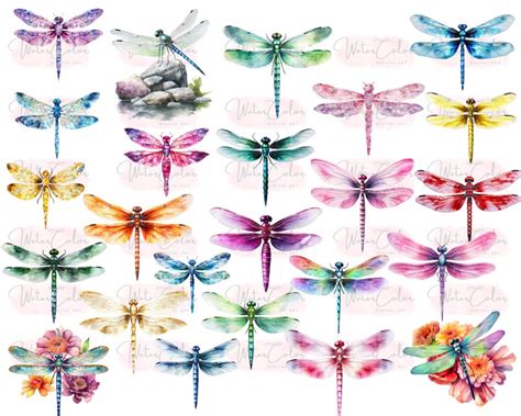 Download Dragonfly Bundle Commercial Use