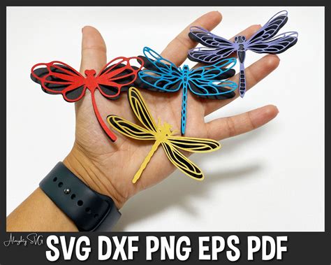 Download Dragonfly Bundle Easy Edite