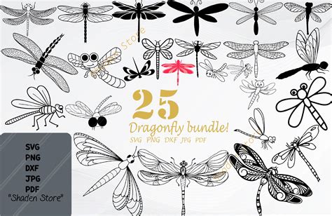 Download Dragonfly Bundle Images