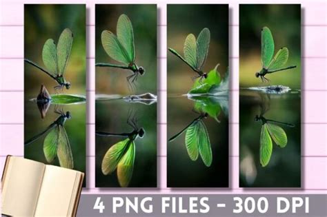 Download Dragonfly Bundle Printable