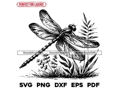 Download Dragonfly Memorial Commercial Use DXF Files