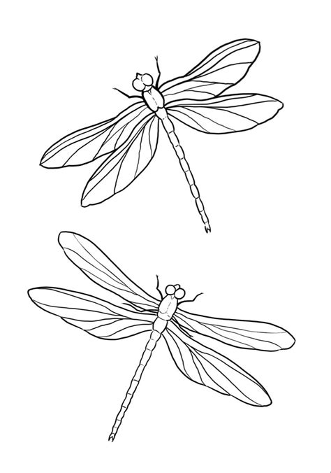 Dragonfly Tattoo Stencil