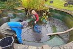 Draining Fish Pond with Pond Pump