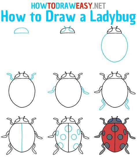 Draw A Ladybug