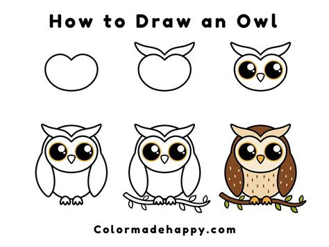 Draw Owls