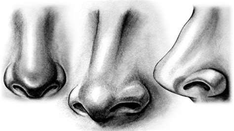 Nose Pencil Drawing at GetDrawings Free download