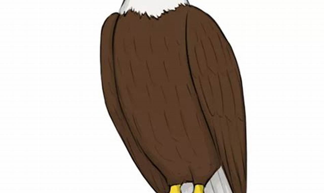 Unveiling the Secrets of Drawing A Bald Eagle: A Journey of Discovery