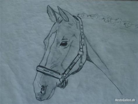 Drawing Flotte Tegninger