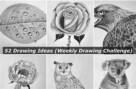 Drawing