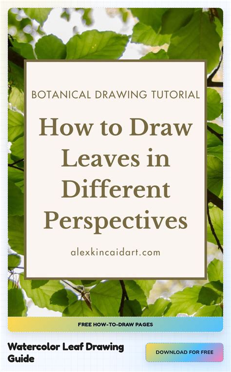 Drawing