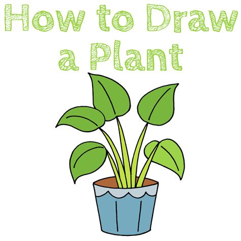 Drawing Plant Subject