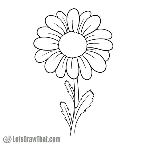 Drawing a Daisy