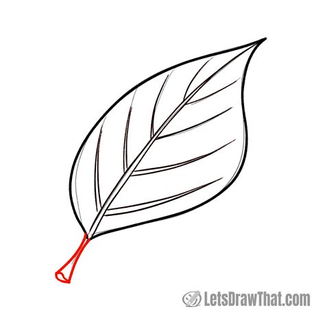 Drawing a Leaf