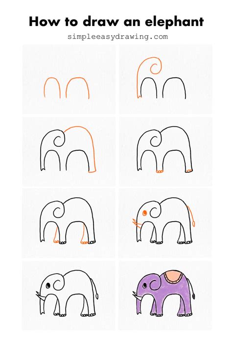 Drawing an Elephant Step by Step