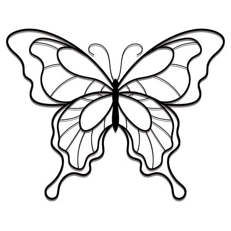 Drawing the Outline