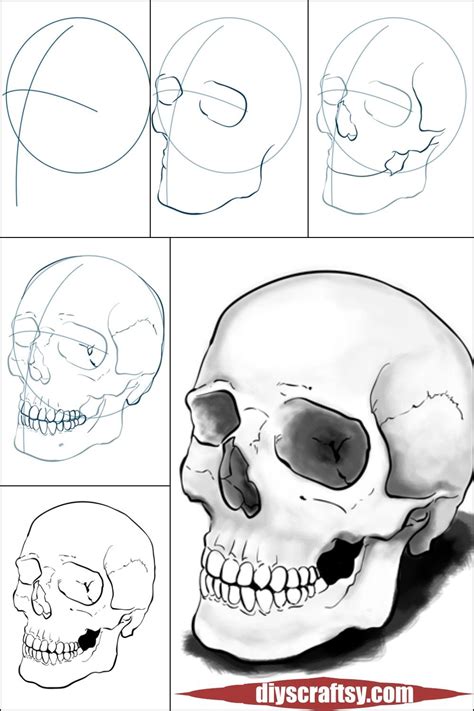 Drawn Skull