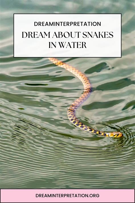 Mesmerizing Beauty – The Enchanting Tale of a Dream Snake in Crystal Clear Waters.