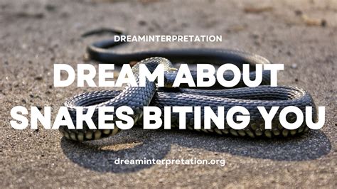 Nightmares become a Reality: How I Confronted my Fear of Dream Snakes Biting Me