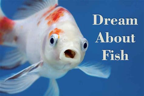 Dream about fish