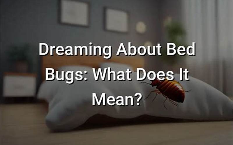 Dreaming About Bedbugs