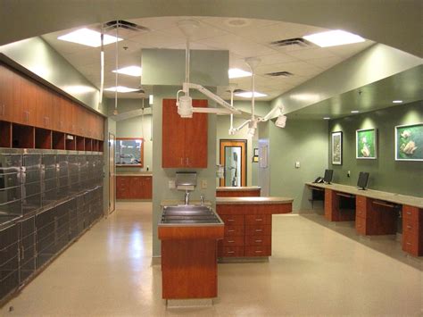 Dreaming Summit Animal Hospital: Your Trusted Partner for Quality Pet Care