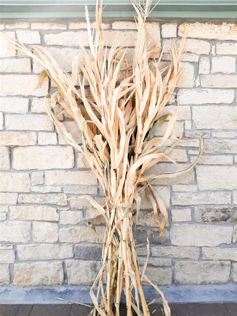 Harvest Your Home in Style: Elevate Your Decor with Stunning Dried Corn Stalks