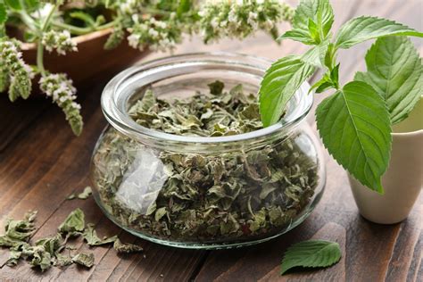 Dried Peppermint Leaves