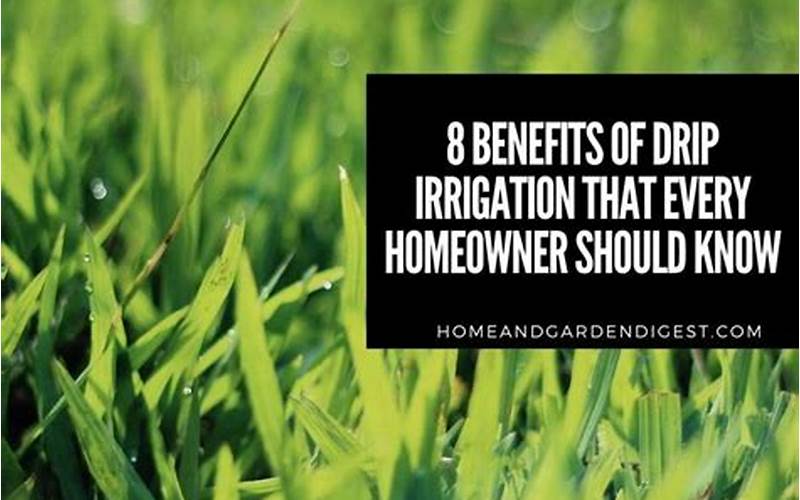 Drip Irrigation Benefits