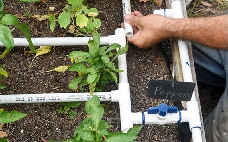 Drip Irrigation For Vegetable Garden