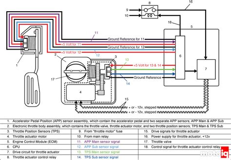Drive By Wire Throttle Wiring