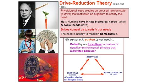 Exploring the Intriguing World of Drive Reduction Theory: Uncovering the Definition and Significance for Human Motivation!