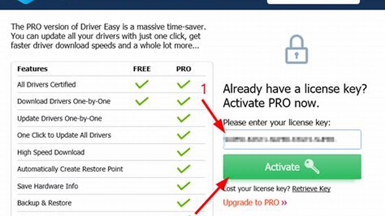 Driver Easy Pro Key 2024