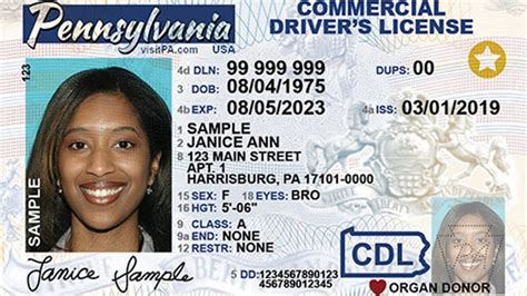 Driver’s License Services services Offered at the Fort Smith DMV