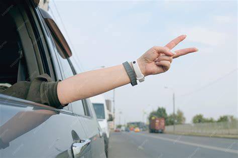 Driver Showing You Around