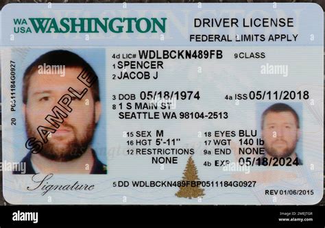 Drivers License In Wa State