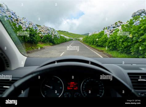 Driving the Flower S Route