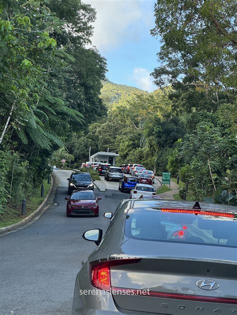 Driving to El Yunque