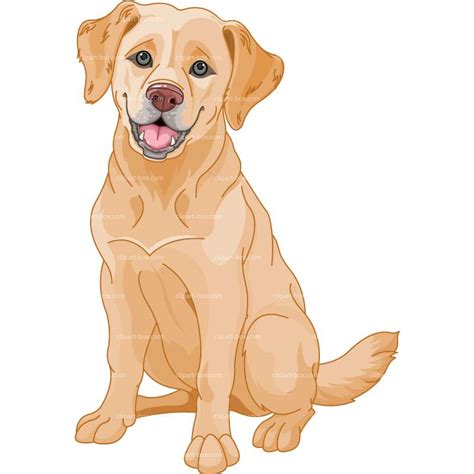 Droll Labrador Retriever Images Clip Art: A Collection Of Fun And
Adorable Dog Illustrations